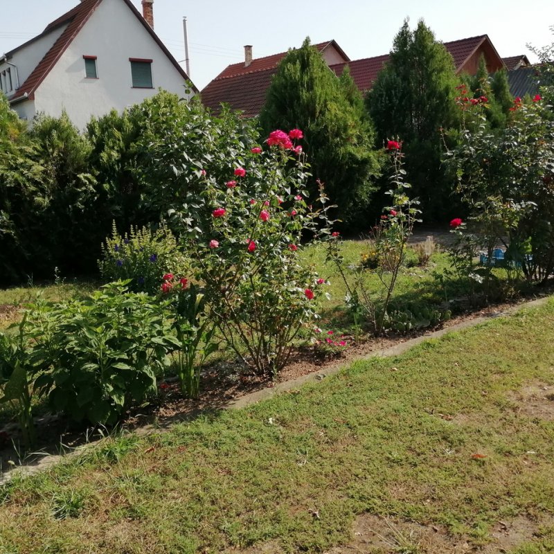 Réz Józsefné kertje 05